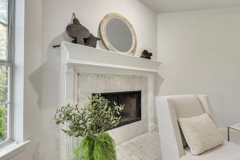 a living room with a fireplace and a potted plant