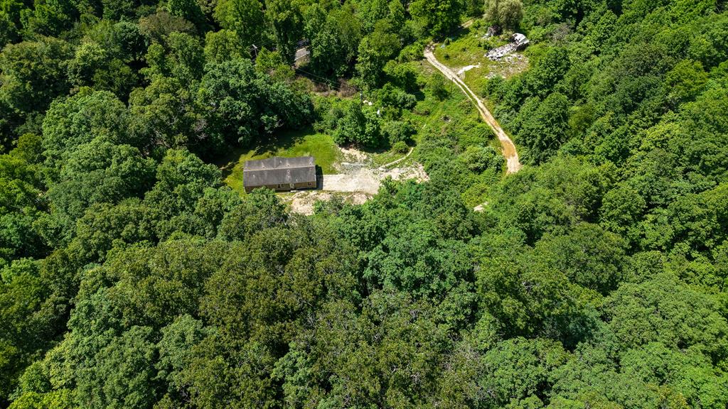10633 Poplar Gap Road Ravencliff, WV 25913 - Photo 5 of 28 Gallery Image 5