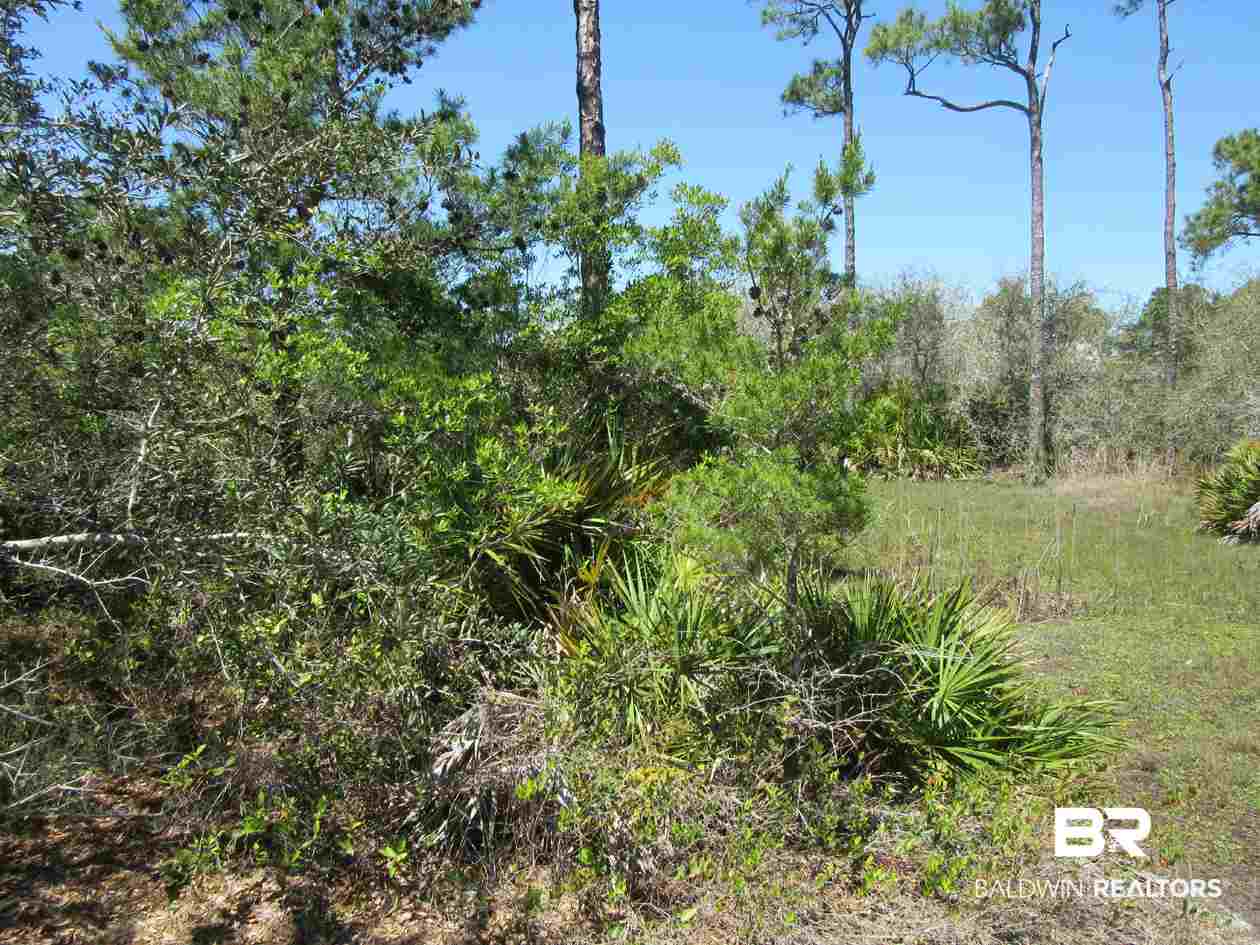 Zeanah Road Gulf Shores, AL 36542 - Photo 4 of 15