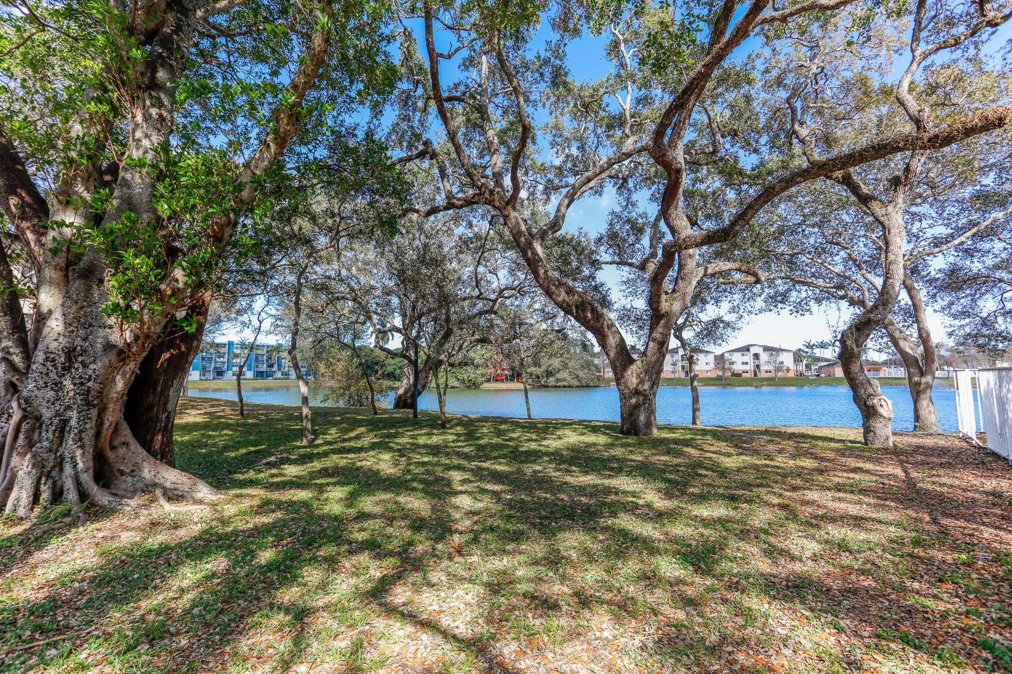 3680 North 56th Avenue, Unit 806 Hollywood, FL 33021 - Photo 18 of 30 a large tree in the middle of a yard