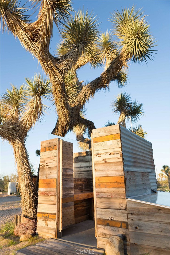 3535 Olympic Road Joshua Tree, CA 92252 - Photo 60 of 63 a view of a palm tree with wooden stairs