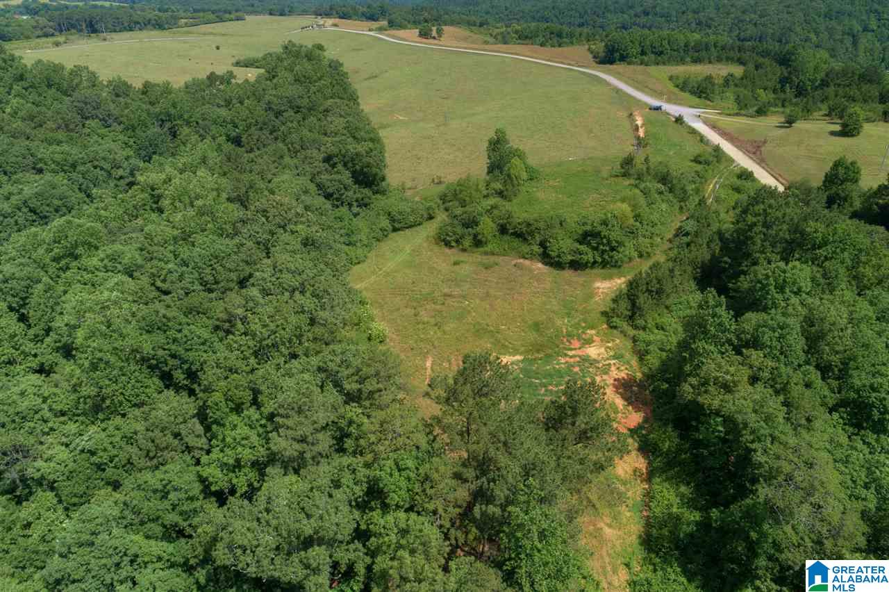 0 Ridge Drive, Unit 58 PART 54 & BOAT RAMP Arley, AL 35541 - Photo 11 of 27