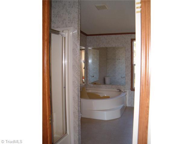 5679 Whites Chapel Road Staley, NC 27355 - Photo 4 of 5 Master Bath/Spa.