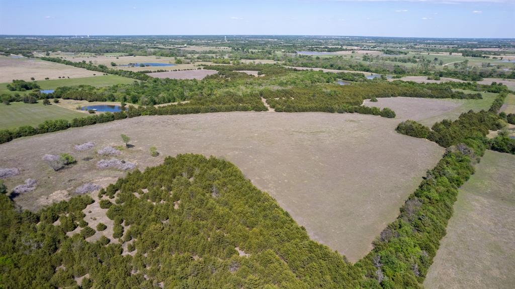 5020 County Road 5020 Road, Unit OF Blue Ridge, TX 75424 - Photo 12 of 17
