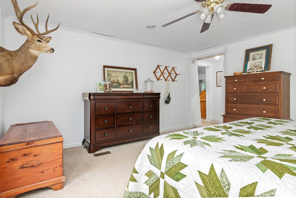 237 Bulls Horne Road Abbeville, SC 29620 - Photo 18 of 32