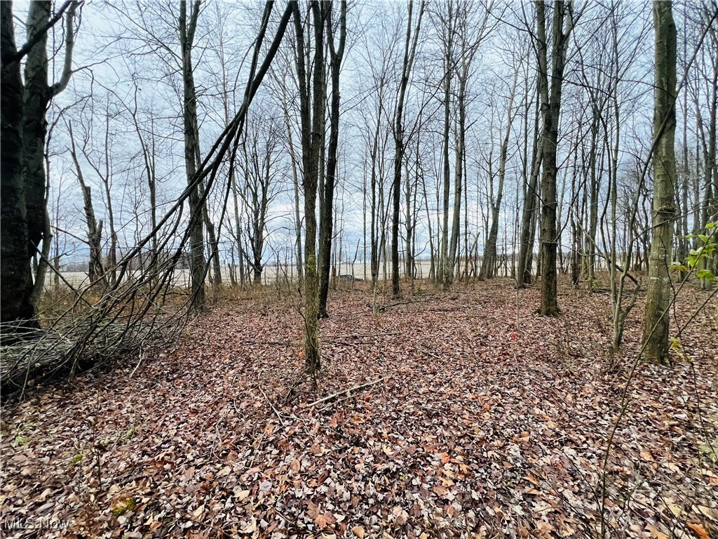 0 Kinsman Nickerson Road Kinsman, OH 44428 - Photo 1 of 8