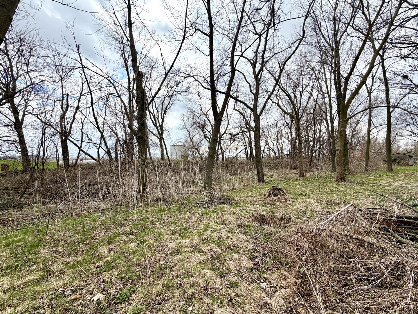5982 West Clare Road Clare, IL 60111 - Photo 6 of 7