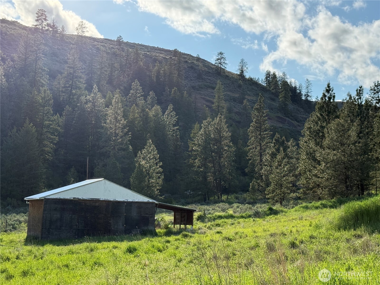 37235 Redwine Canyon Road Creston, WA 99117 - Photo 13 of 23 Gallery Image 13
