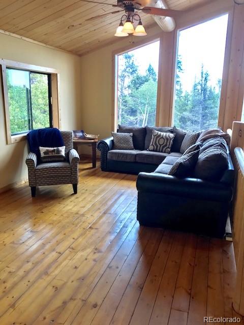 115 72nd Road Fairplay, CO 80440 - Photo 24 of 35 Gallery Image 24
