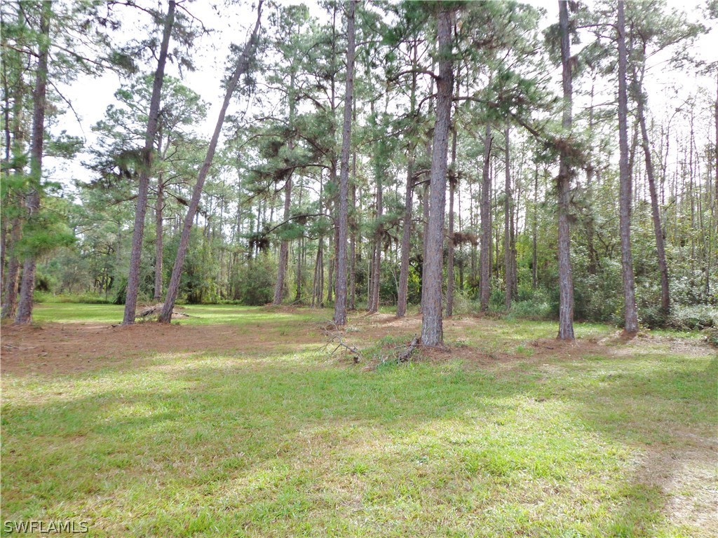 2168 Silver Lake Road LaBelle, FL 33935 - Photo 5 of 14 Gallery Image 5
