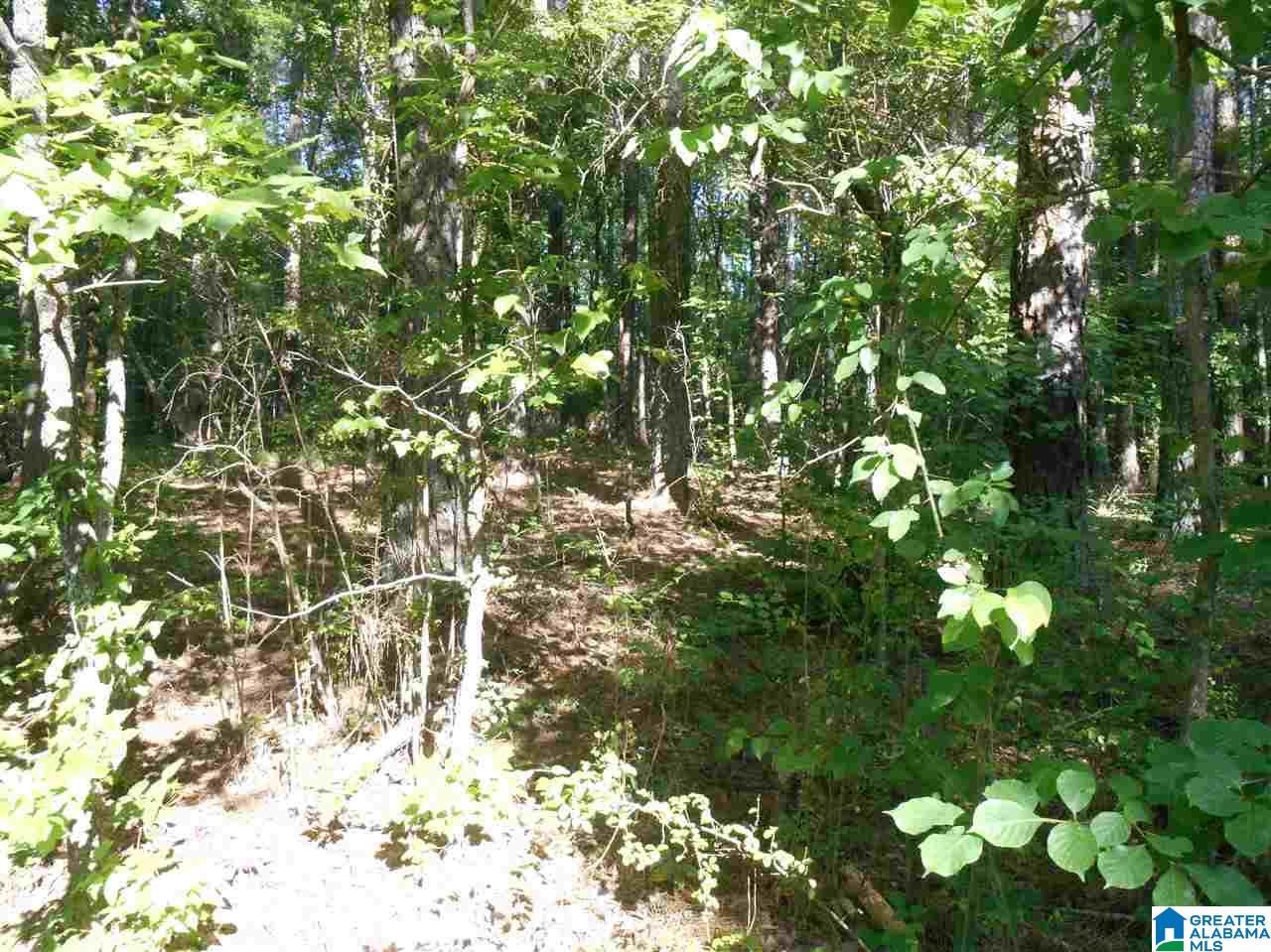 39 Highway Chelsea Al, Unit 2A Chelsea, AL 35043 - Photo 4 of 5