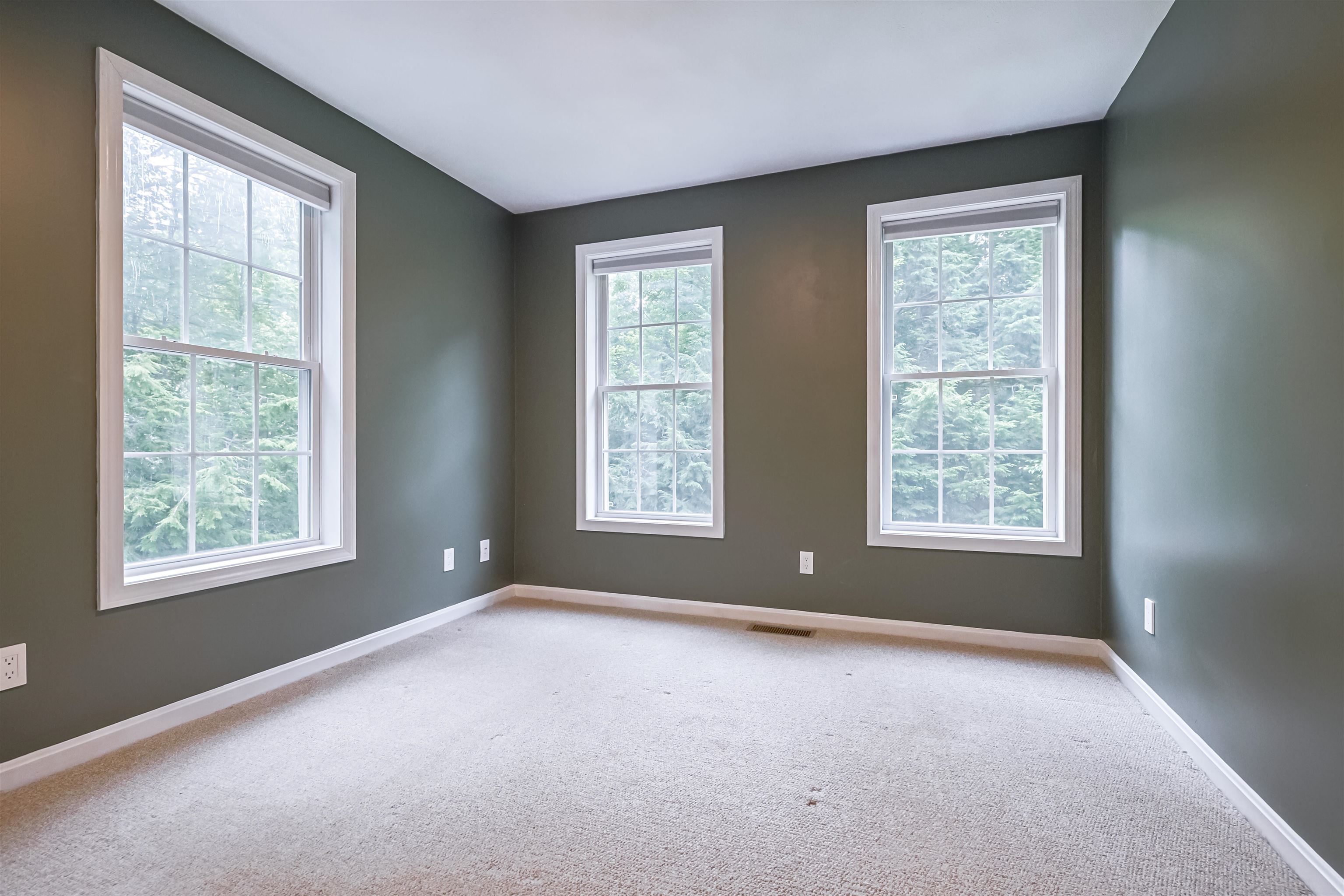 121 Twist Hill Road Dunbarton, NH 03046 - Photo 17 of 35