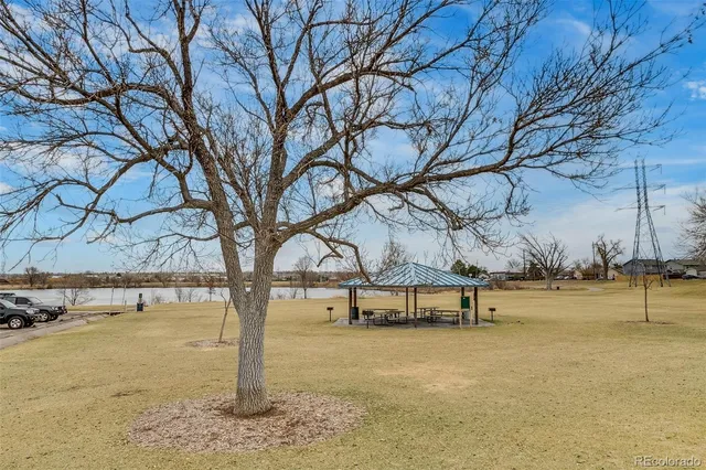 a view of outdoor space with trees