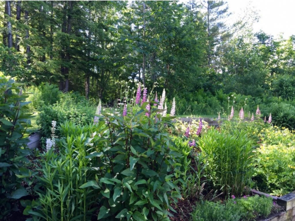 1888 County Road Haverhill, NH 03774 - Photo 21 of 30 Gallery Image 21