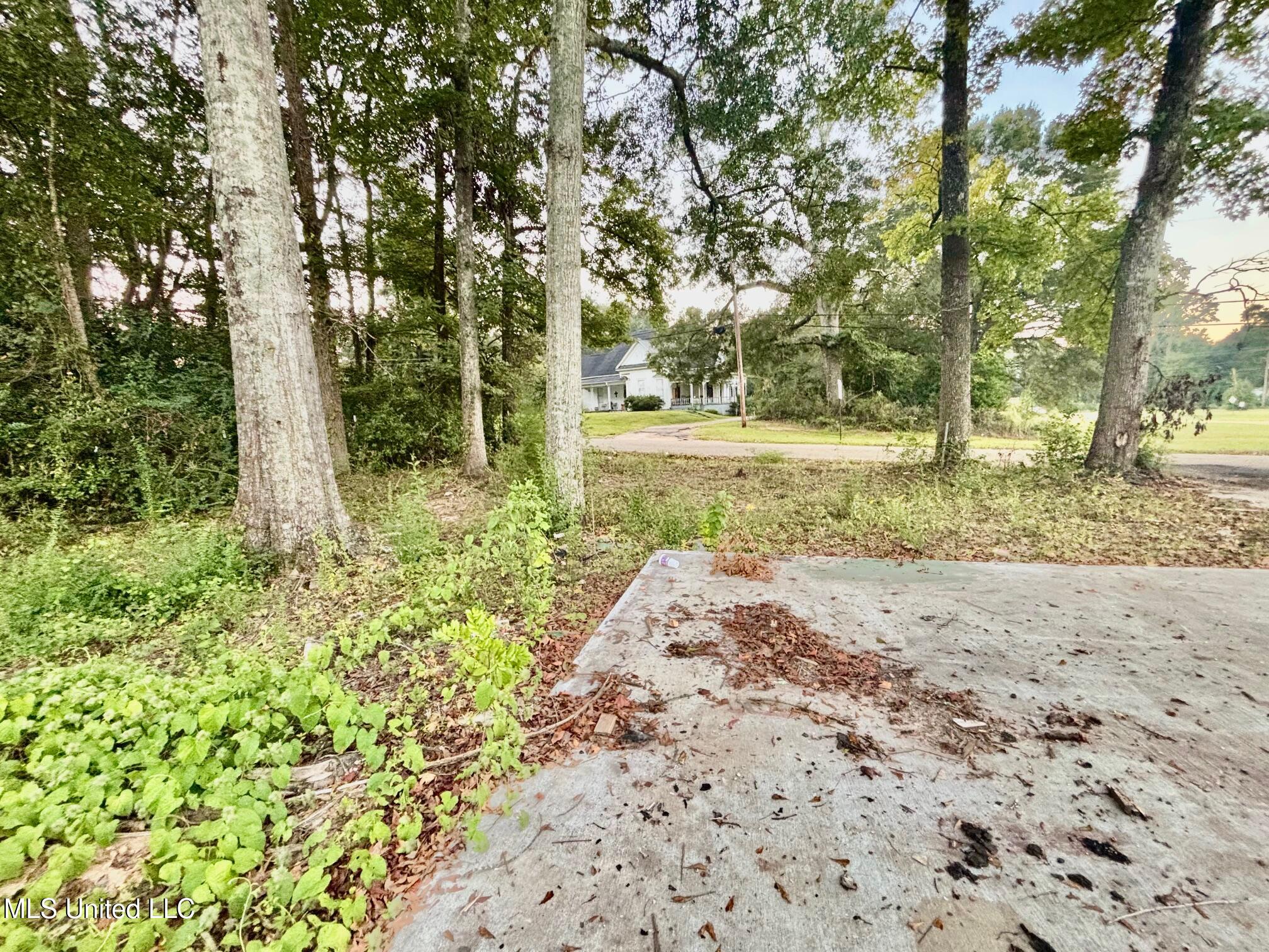 98 Mccomb Ms 39648 McComb, MS 39648 - Photo 5 of 5 IMG_9510