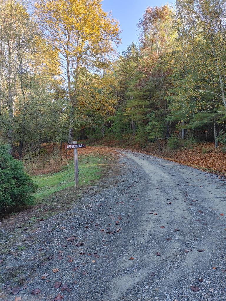 10 Upper Ridge Road, Unit 10 Meadows Of Dan, VA 24120 - Photo 1 of 30 Gallery Image 1