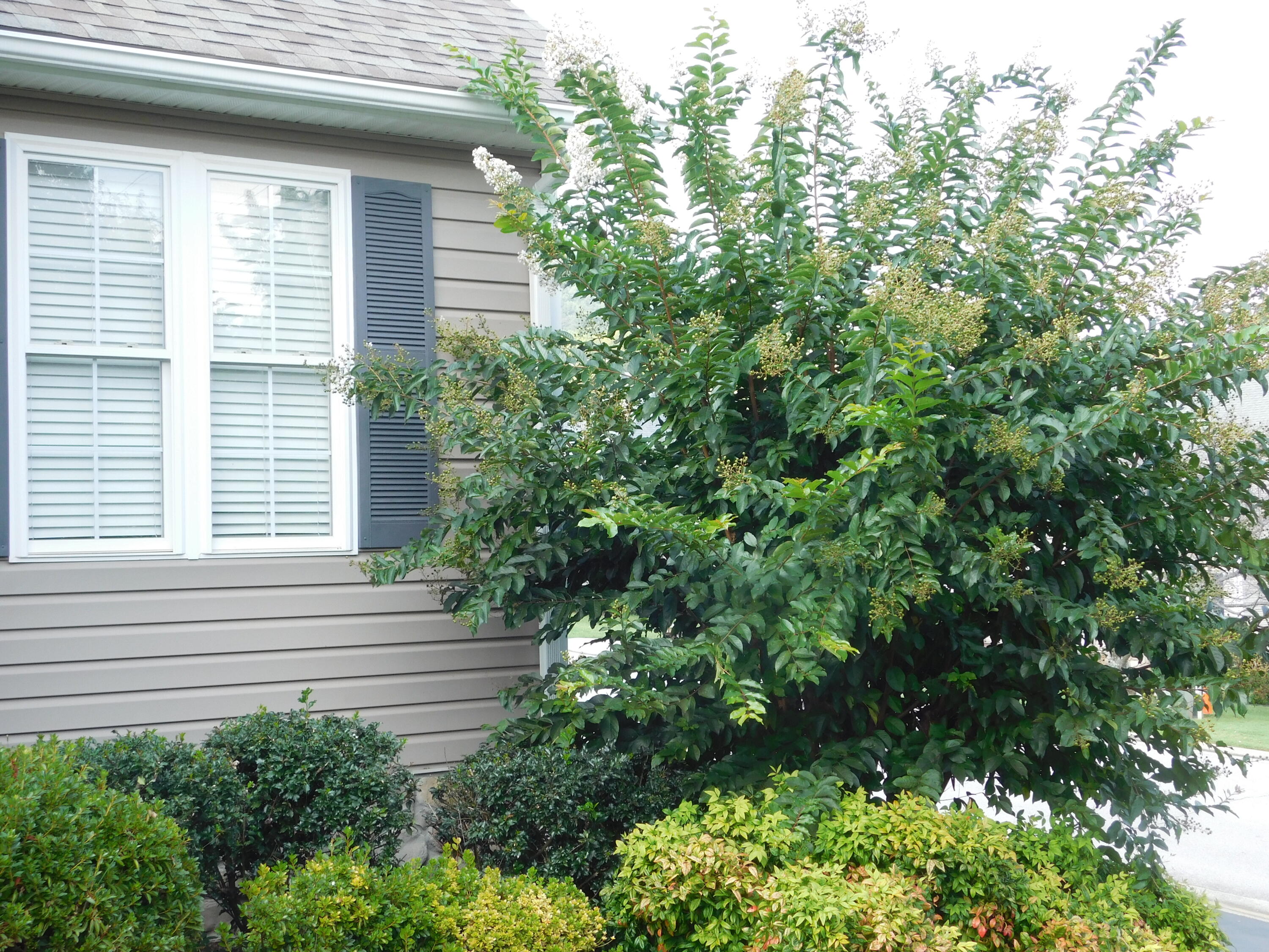 5722 Huntridge Road Roanoke, VA 24012 - Photo 78 of 79 Landscaping