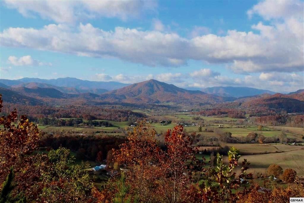 2 Which A Way Sevierville, TN 37862 - Photo 1 of 22