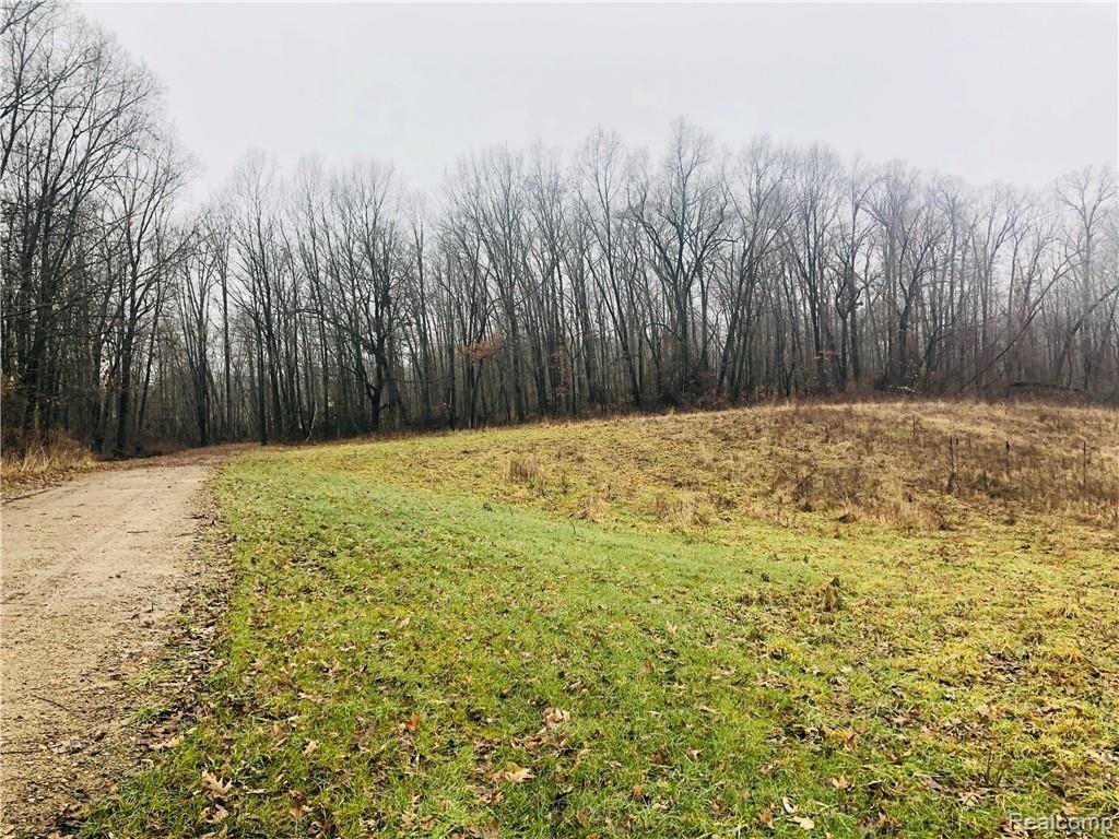 Parcel 12 Elevation Lane Howell, MI 48855 - Photo 8 of 11