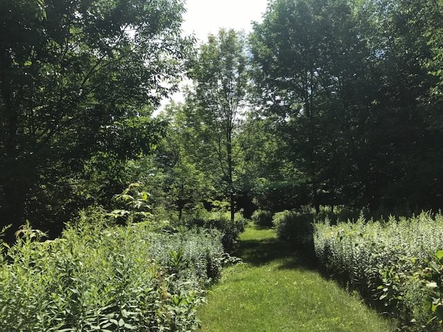 Westford Road, Unit 6 Milton, VT 05468 - Photo 1 of 3 Gallery Image 1