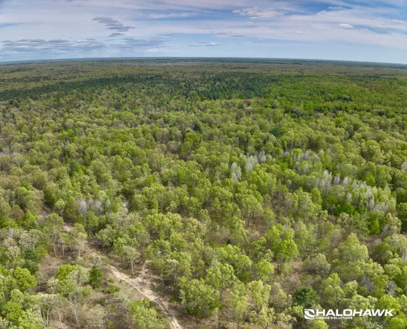 $249,900 | V/l South 136th Avenue, Rothbury, MI 49452