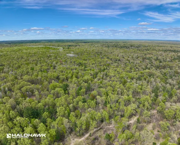 $249,900 | V/l South 136th Avenue, Rothbury, MI 49452