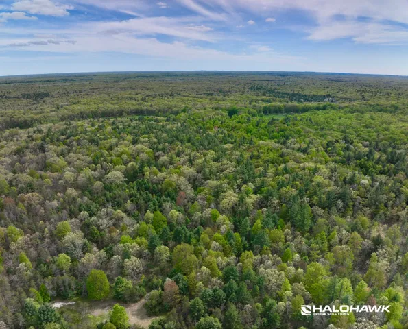 $249,900 | V/l South 136th Avenue, Rothbury, MI 49452