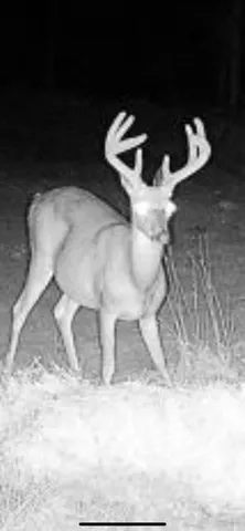 $249,900 | V/l South 136th Avenue, Rothbury, MI 49452