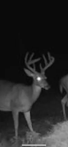 $249,900 | V/l South 136th Avenue, Rothbury, MI 49452