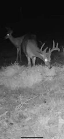 $249,900 | V/l South 136th Avenue, Rothbury, MI 49452