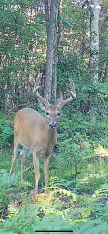 $249,900 | V/l South 136th Avenue, Rothbury, MI 49452