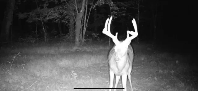 $249,900 | V/l South 136th Avenue, Rothbury, MI 49452