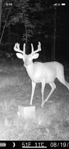 $249,900 | V/l South 136th Avenue, Rothbury, MI 49452