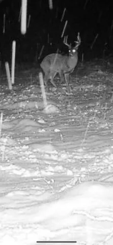 $249,900 | V/l South 136th Avenue, Rothbury, MI 49452