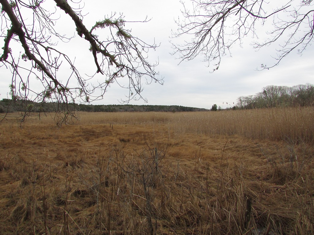 52-90 Great Neck Road Wareham, MA 02538 - Photo 2 of 3 Gallery Image 2