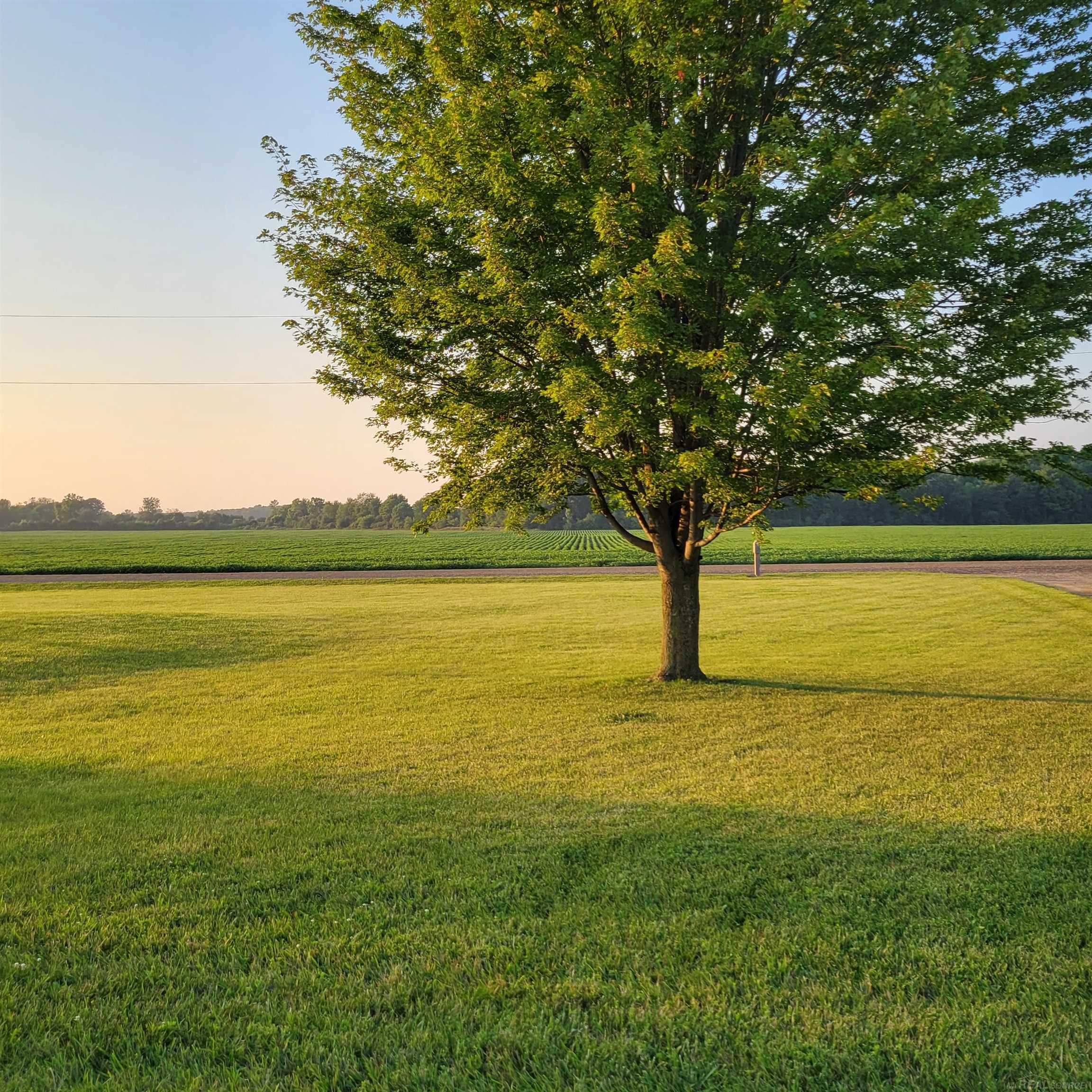5886 Hunters Creek Road Imlay City, MI 48444 - Photo 53 of 59 Gallery Image 53