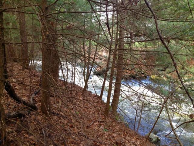 West Morris Road Bantam, CT 06750 - Photo 1 of 1 a backyard of a house