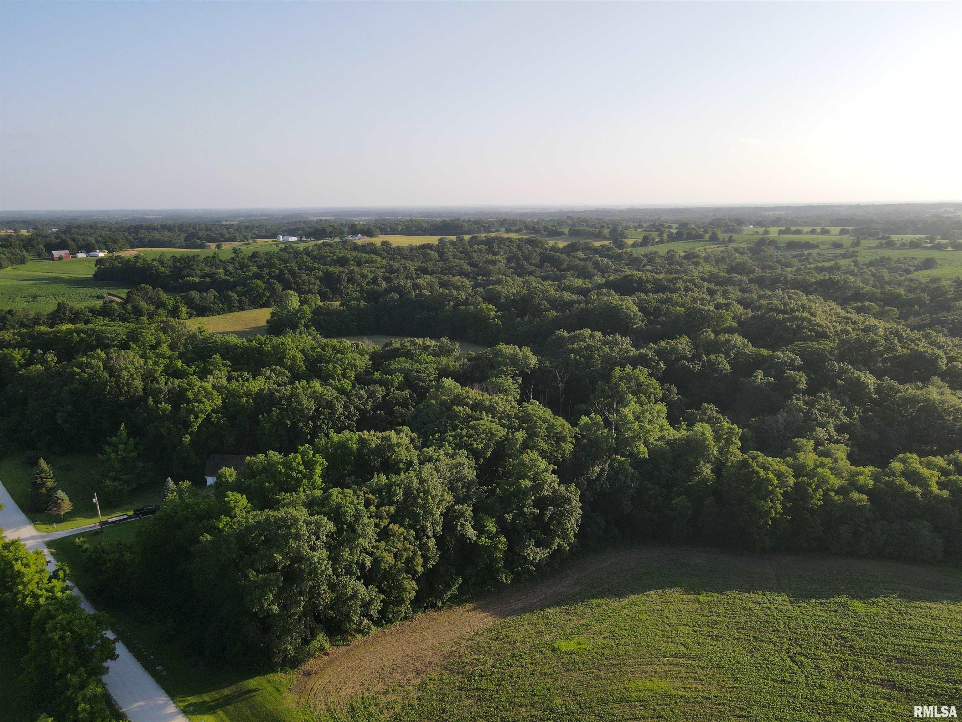 293 East 2700th Street Liberty, IL 62347 - Photo 42 of 47