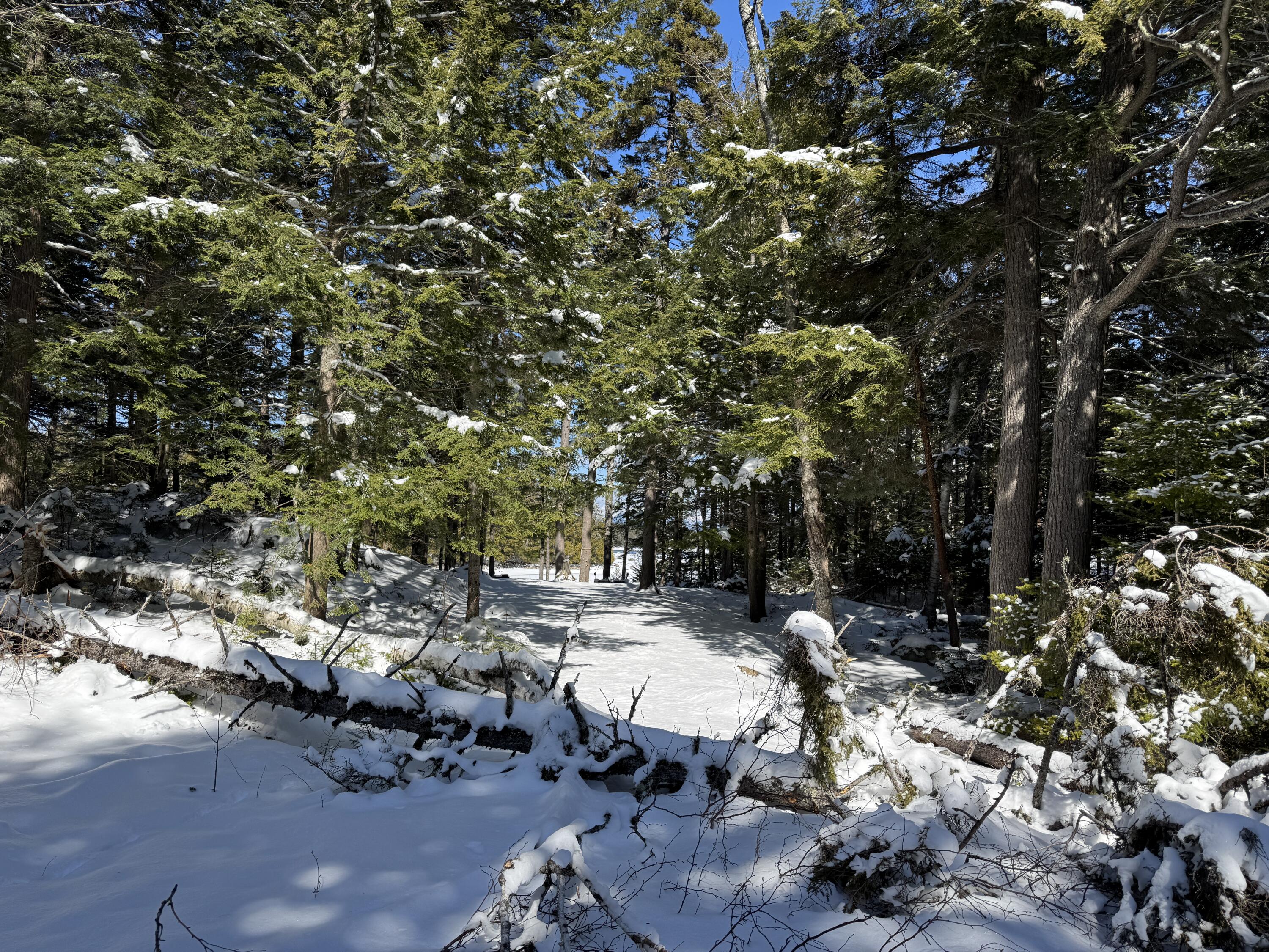 0 Elbow Lake Road Millinocket, ME 04462 - Photo 8 of 26 IMG_9956