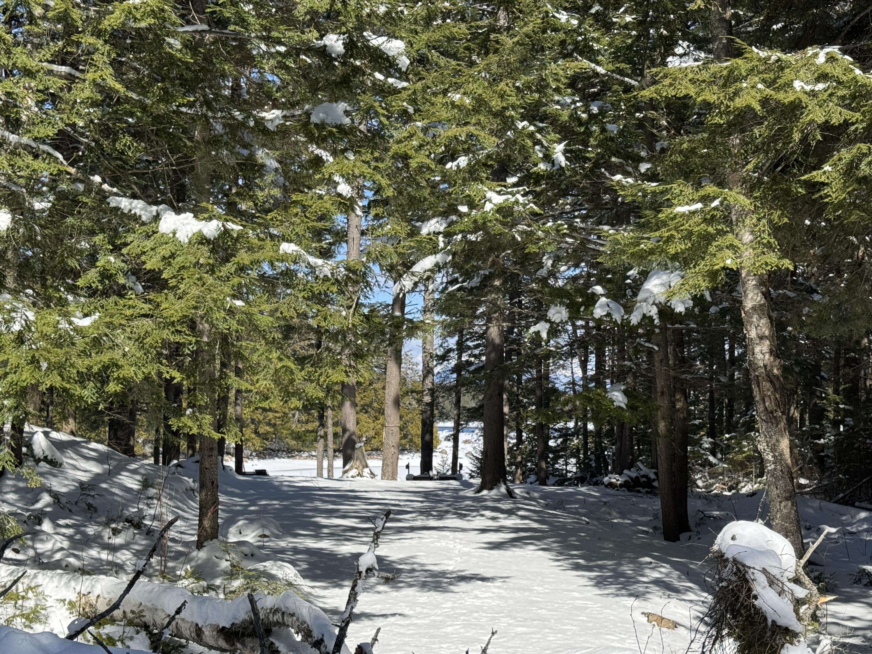 0 Elbow Lake Road Millinocket, ME 04462 - Photo 9 of 26 IMG_9957