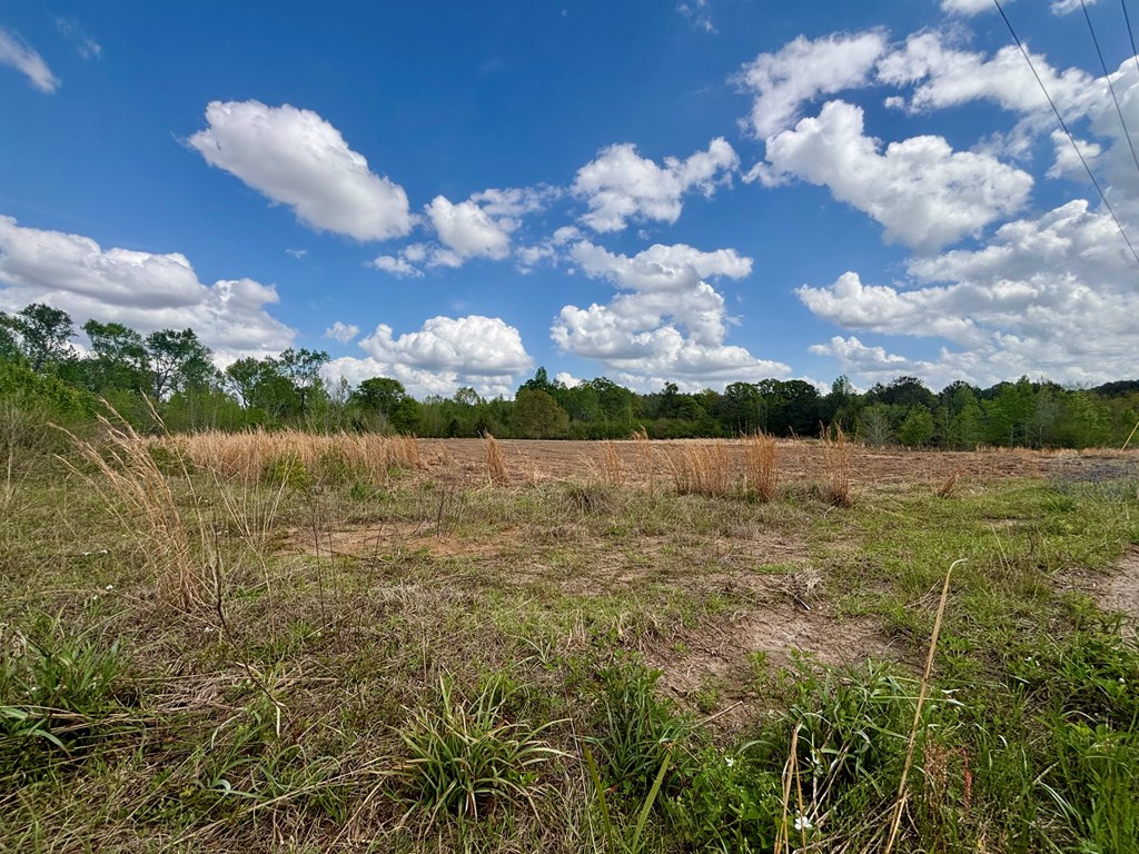 931 Middleton Road Dothan, AL 36301 - Photo 3 of 7