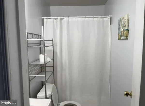 a bathroom with a shower curtain and toilet