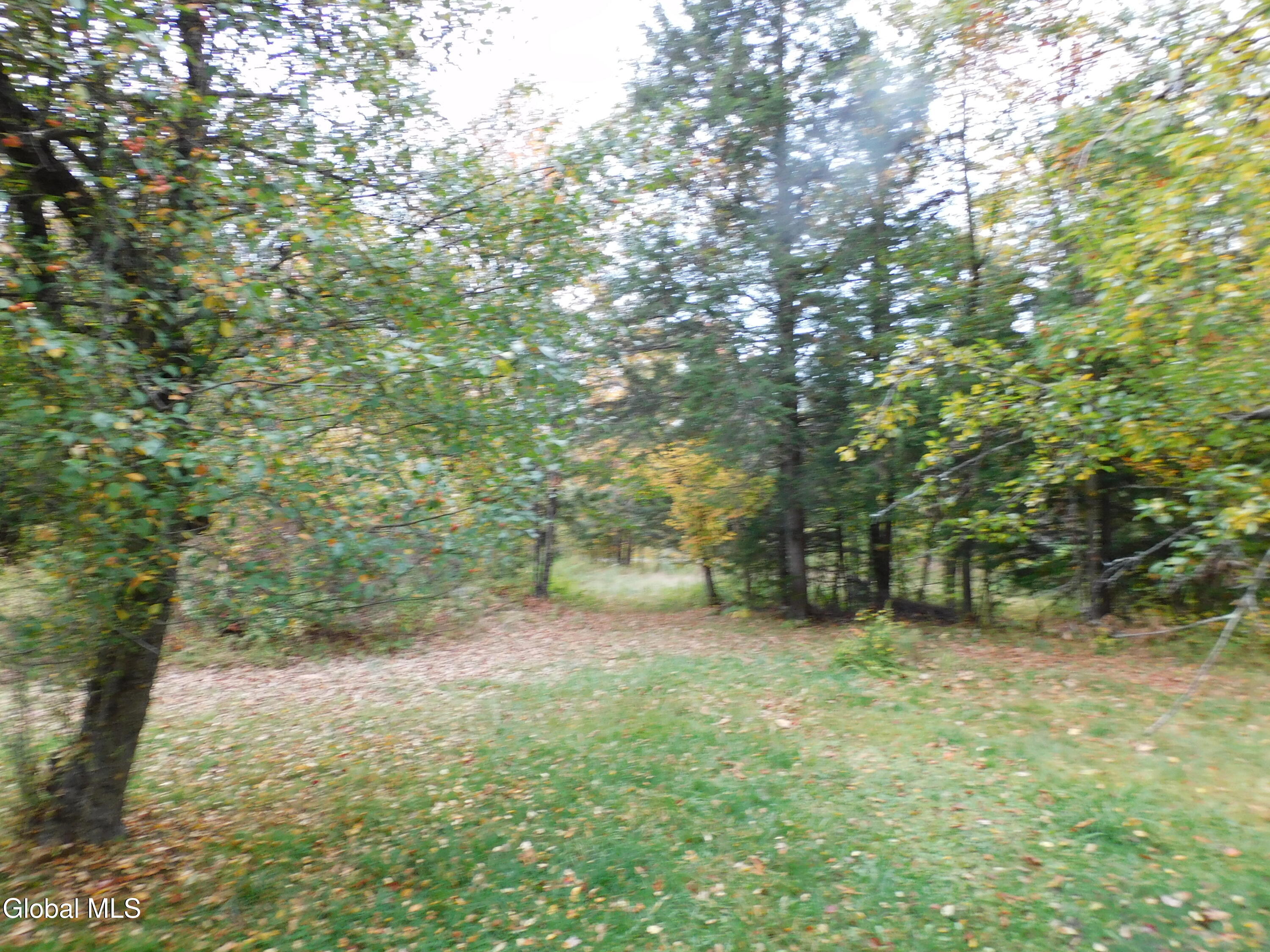 14 Harris Road Horicon, NY 12815 - Photo 8 of 11 DSCN0394