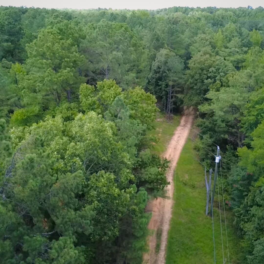 1147 Broom Road Como, MS 38619 - Photo 3 of 23 Gallery Image 3