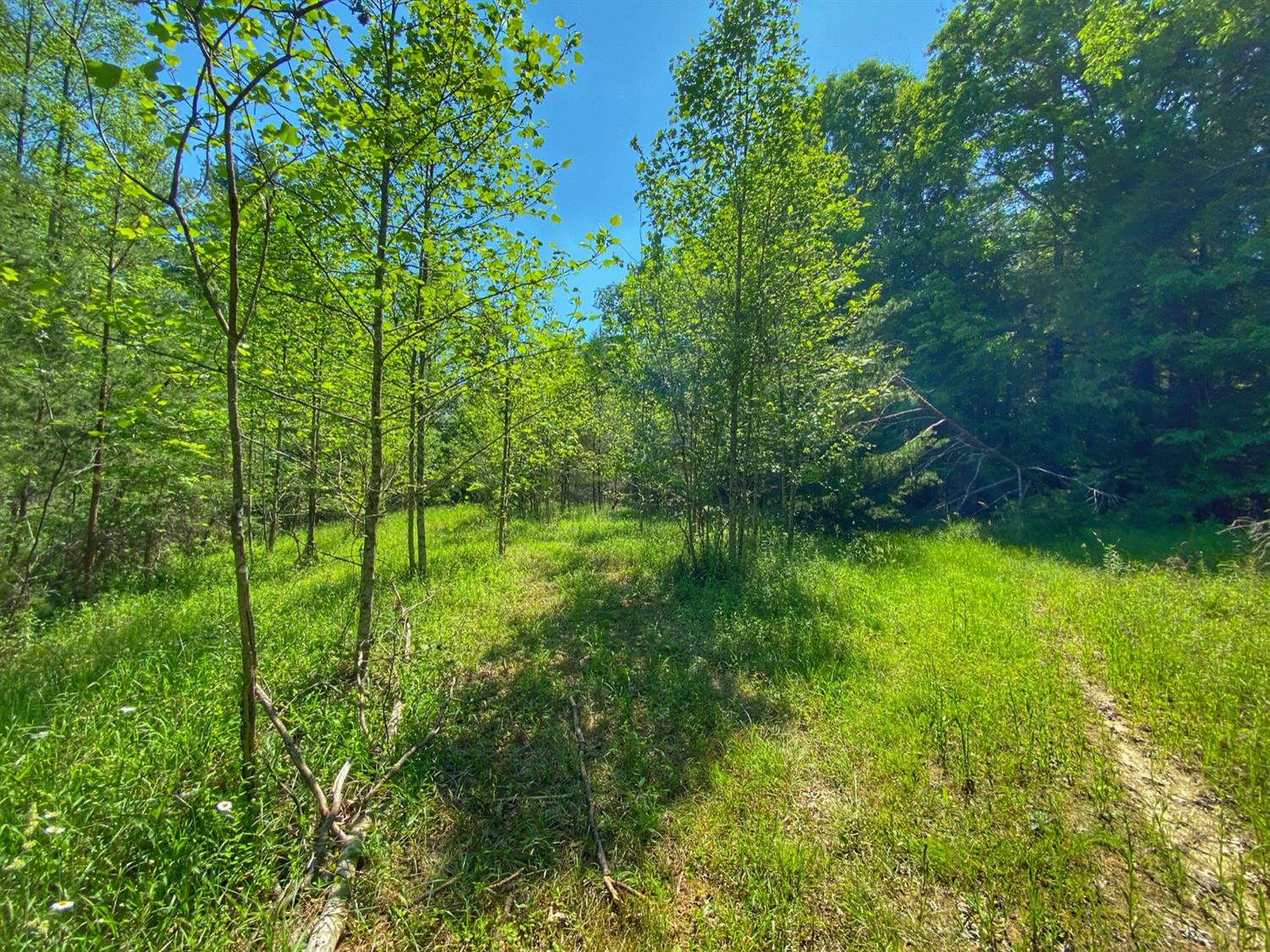 1640 Calaboose Ridge Road Campton, KY 41301 - Photo 36 of 38 Photo 36