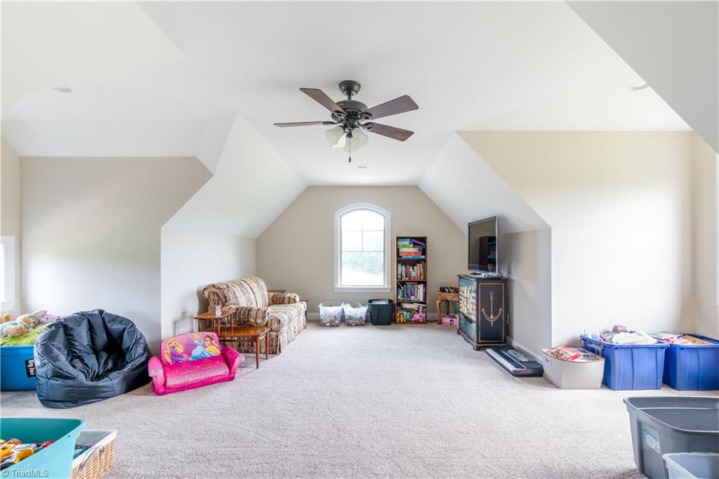 285 Whitaker Road Pinnacle, NC 27043 - Photo 27 of 49
