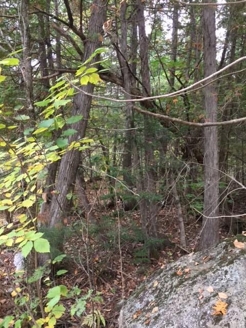 0 Quinns Flats Road Athens, ME 04912 - Photo 4 of 7 Photo