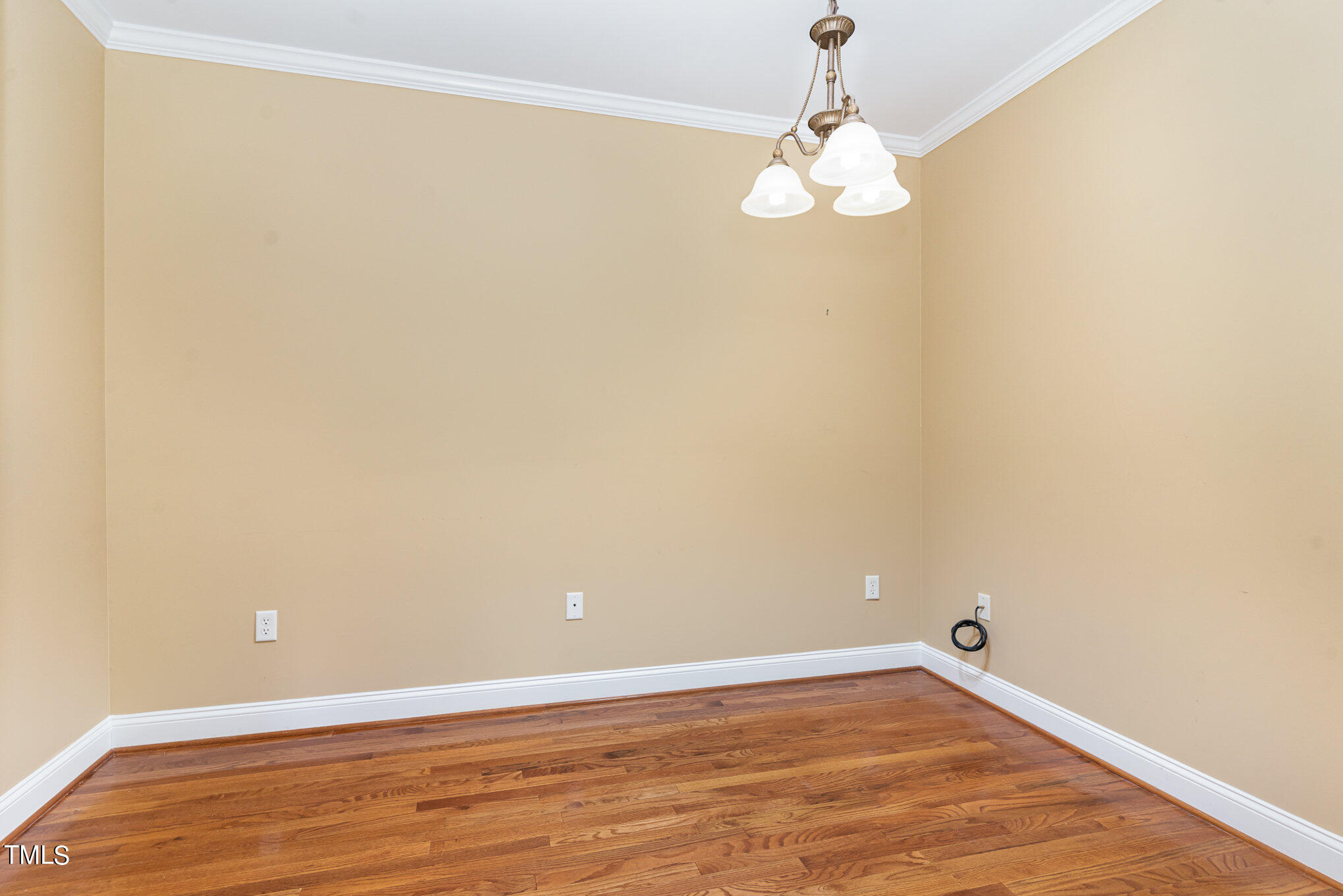 7510 Lead Mine Road, Unit 104 Raleigh, NC 27615 - Photo 20 of 23 Office 11.8 x 11.8