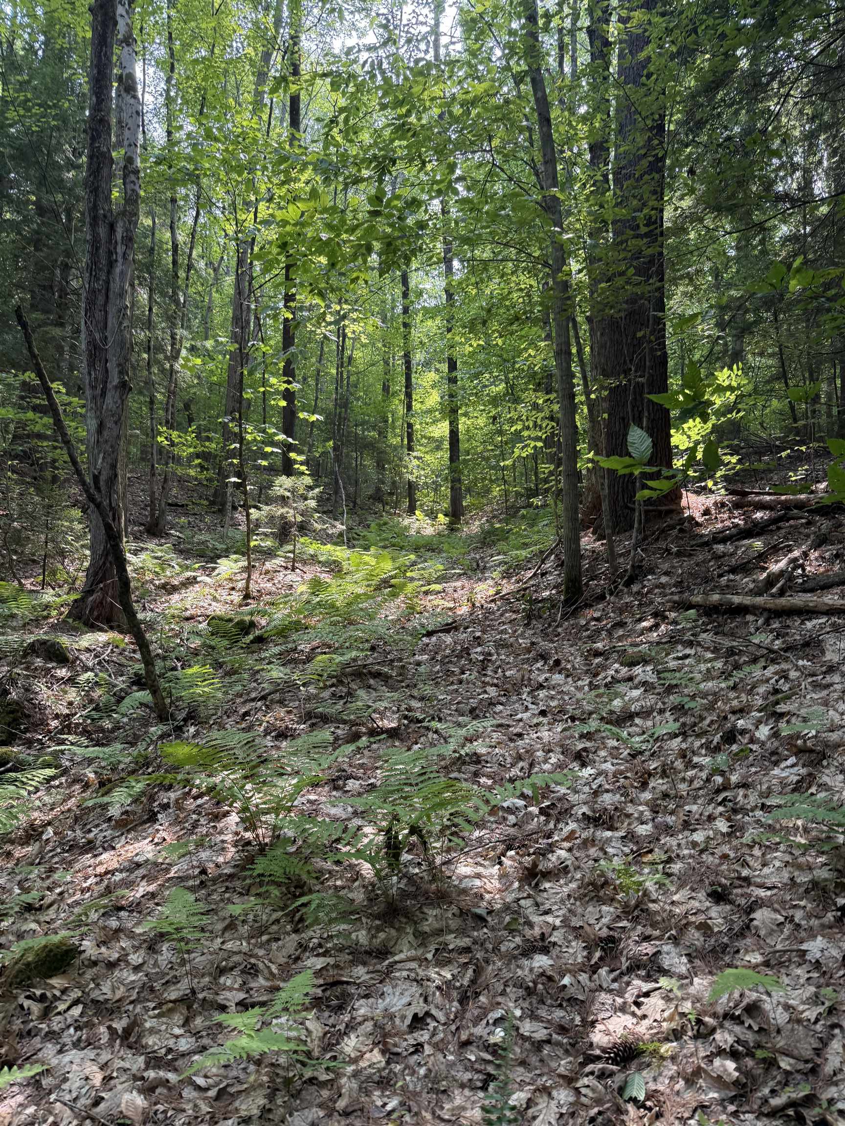 864 Nh Rte 4a Enfield, NH 03748 - Photo 25 of 34