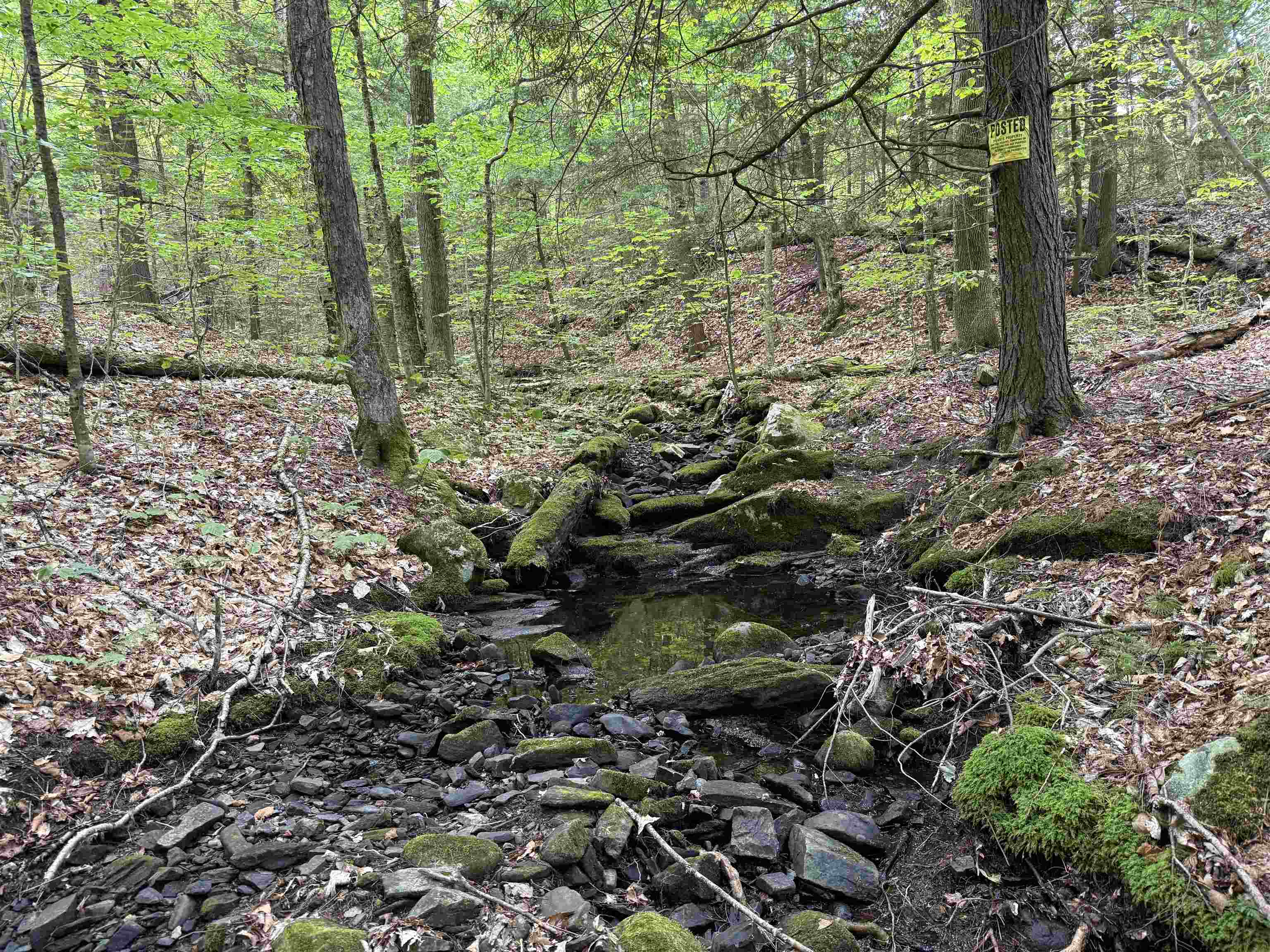 864 Nh Rte 4a Enfield, NH 03748 - Photo 26 of 34